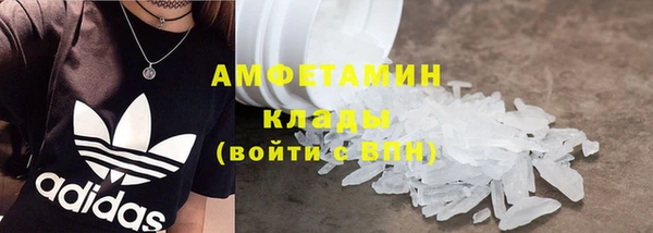 стаф Осинники