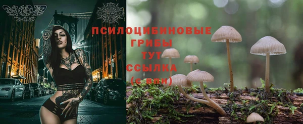 экстази Алексин