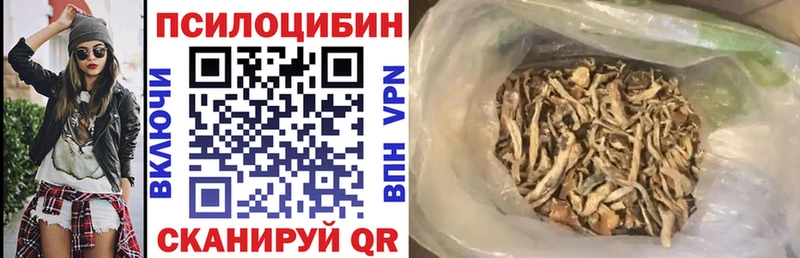 как найти наркотики  Новосибирск  Галлюциногенные грибы мицелий 
