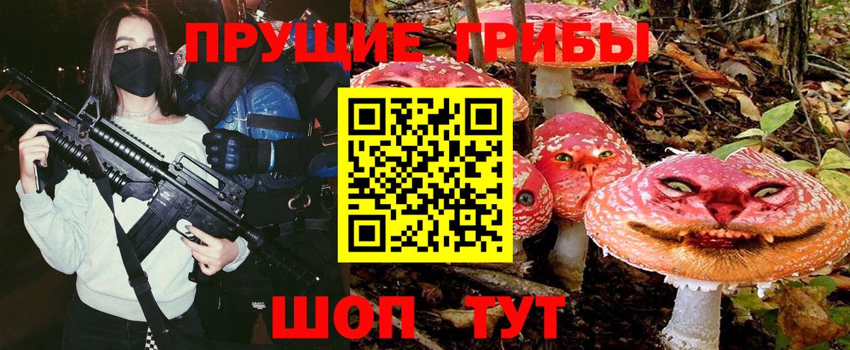 Псилоцибиновые грибы прущие грибы Новосибирск
