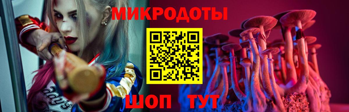 Галлюциногенные грибы ЛСД  Вход с VPN  закладка  Новосибирск 