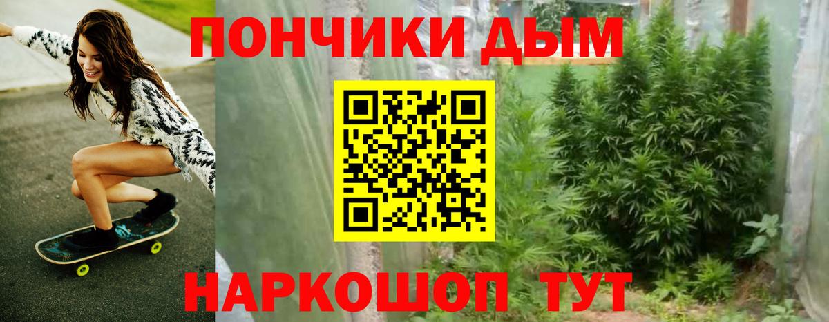 Новосибирск  Шишки марихуана конопля  Вход с VPN  МАРИХУАНА Ganja 